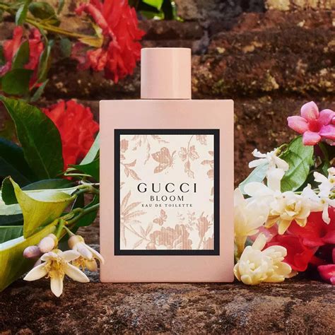 gucci bloom perfume smell.